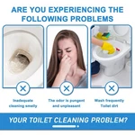 Deodorizing Slow-release Hygienic Flower Toilet Cleaning Gel Air Freshener. Fixed Price $29.89.