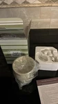 Scentsy Sand Dollar Plug-in Wax Warmer Beige Ceramic Coastal Beach New Box. Fixed Price $14.50.
