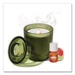 Lifelines LL111621 Aromatherapy Essential Oil Flameless Candle Diffuser,. Fixed Price $37.86.