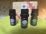 Scentsy Essential Oil Gift Tin 3-PACK 5ML Any Occasion New. Fixed Price $28.00.