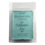 Balsam Fir Soy Wax Melts 2.6OZ 6CT Hand Poured Essential Oil Christmas Gift. Fixed Price $6.99.