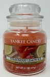 Yankee Candle Strawberry Lemon Ice Small Housewarmer Jar, 3.7OZ Retired. Fixed Price $13.99.