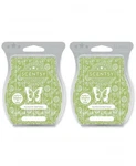 Scentsy Wax Bars Sunburst Bamboo Discontinued 2 Pack, New Ships W/ Icepack. Fixed Price $16.80.