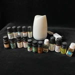 Homedics Ellia Dream Ultrasonic Diffuser & 14 Essential Oils Bundle Lot - Tested. Fixed Price $24.95.
