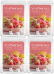 4 Scentsationals Watermelon Sugar Highly Scented Wax Melts Cubes 2.5 Oz. Fixed Price $23.88.