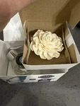 Scentsy Fragrance Flower Luna Dahlia Darling New. Fixed Price $19.90.