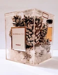 Slatkin & Holiday Dry Pinecone Potpourri Fragrant Rocks Home Fragrance Oil. Fixed Price $36.99.