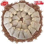 Pack Of 24 Cedar Sachets Bag Red Chips For Clothes Storage Drawers. Fixed Price $23.87.