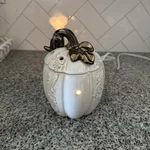Scentsy Lumina White Pumpkin Wax Warmer Full Size No Bulb. Fixed Price $32.77.
