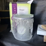 Charmer Scentsy Warmer With Sliver Base Tested Works Wotm Jan 2015 Retired. Fixed Price $29.99.