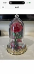 Bath & Body Works Disney Princess Belle Rose Wallflower Nightlight Plug. Fixed Price $48.00.