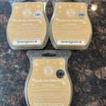 New Scentsy Lot Of 3 Vanilla Bean Buttercream. Fixed Price $24.50.