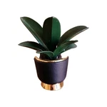 Bath & Body Works Sleek Botanical House Plant - Wallflower Fragrance Plug In. Fixed Price $18.00.