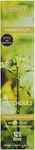 Hosley 120-PACK Of Patchouli Fragrance Incense Sticks Natural Bulk. Fixed Price $15.54.