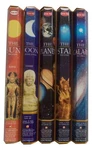 Hem Celestial Incense Variety Sun Moon Star Planet Galaxy, 100 Stick. Fixed Price $13.81.