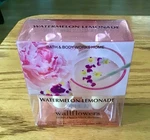 New! Bath & Body Works Watermelon Lemonade Wallflowers 2 Pack Refill Plug-in. Fixed Price $8.49.