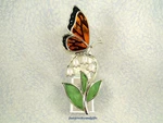 Bath & Body Works Wallflowers Scent Control Diffuser Blooming Butterfly Nl-new. Fixed Price $36.95.