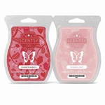 Scentsy Wax Bars Coastal Strawberry & Swirl 2PK Ships W/ Icepack New. Fixed Price $15.20.