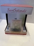 New Scentsationals Full-size Wax Warmer, Bronze Lantern, W/soft 25 Watt Bulb. Fixed Price $21.99.