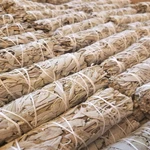 Worldly Finds Bulk White Sage Bundles Wholesale - Fresh Organic Smudge Sticks. Fixed Price $176.28.