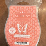 Scentsy Wax Bar Sunset Sky & Strawberry Scent, Pink, Solid, 3.2 Fl Oz, 2.6. Fixed Price $5.00.