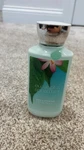 Bath & Body Works Lotion Scent Eucalyptus Spearmint. Fixed Price $15.00.