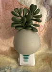 New Bath & Body Works Succulent Planter Scent Control Wallflower Plug In Holder. Fixed Price $18.95.