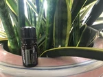 Doterra Douglas Fir 5 Ml Essential Oil New & Sealed Exp 08/27. Fixed Price $18.90.