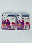 Febreze Moonlight Breeze Gain Scent Wax - Pack (12 Melts). Fixed Price $29.99.