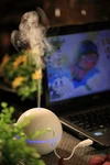 Spt SA-028 Usb Globe Ultrasonic Aroma Diffuser Humidifier. Fixed Price $40.34.