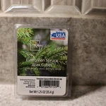 Mainstays Wax Cubes Evergreen Spruce. Fixed Price $5.99.