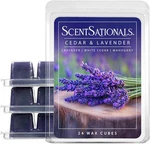 Scentsationals Wax Melts Cedar & Lavender 10OZ 24-CUBES Long-lasting. Fixed Price $26.25.
