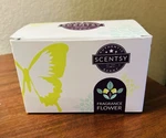 Scentsy Fragrance Flower Blue Grotto New In Box Tropical Citrus. Fixed Price $14.75.