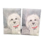 Fresh Scents Sachets Lucky Dog Scented 2 Large New Lavender Jasmine Amber. Fixed Price $16.00.