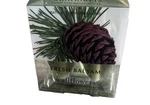 New Bath & Body Works Fresh Balsam Wallflowers Home Fragrance Refills 2 Pack. Fixed Price $10.95.