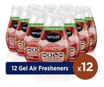 Renuzit Blissful Apple Cinnamon Gel Odor Eliminator Air Freshener 12 Pack 7 Oz. Fixed Price $30.00.