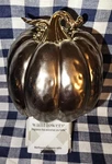 New Silver Pumpkin Wallflower Plug-in Bath & Body Works. Fixed Price $20.00.