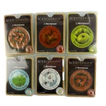 New Lot Of 6 Scenterrific Westinghouse Waxless Discs Sealed. Fixed Price $27.88.