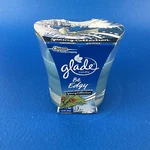Glade Spring Collection Candle Coconut Water & Freesia Nos Hard To Find. Fixed Price $10.22.