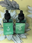 2 Bath & Body Works Wallflowers Home Fragrance Refill Bulb - Island Reef. Fixed Price $16.99.