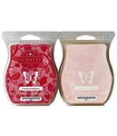 Scentsy Wax Bars Coastal Strawberry & Swirl 2PK Ships W/ Icepack New. Fixed Price $16.98.