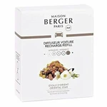 Lampe Berger Set Of 2 Car Odor Diffuser Refill - Oriental Star. Fixed Price $23.92.