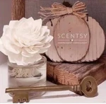 Scentsy Fragrance Flower New In Box Luna. Fixed Price $19.99.