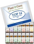 Essential Set 14 - Ml. 100% Pure Natural Therapeutic Grade Bulk Lot. Fixed Price $33.45.