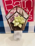 Bath Body Works Succulent Plant Geode Frame Wallflower Fragrance Plug In Holder. Fixed Price $19.99.