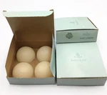 Partylite Holiday Spices Aroma Melts 9 Count Christmas Tarts Fragrance Box. Fixed Price $17.99.