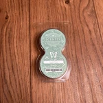 Scentsy Feeling Pine Go Pods 2 Each Package New & Sealed Retired. Fixed Price $7.99.