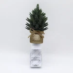 Bath & Body Works Cozy Pine Tree Wallflowers Fragrance Plug - New. Fixed Price $18.99.