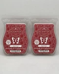 Scentsy Wax Bars Apple Press Discontinued 2 Ships W/ Icepack New. Fixed Price $15.98.