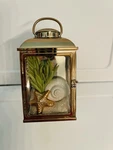 Bath & Body Works Seashell Starfish Beach Lantern Night Light Wallflower Plug. Fixed Price $27.80.